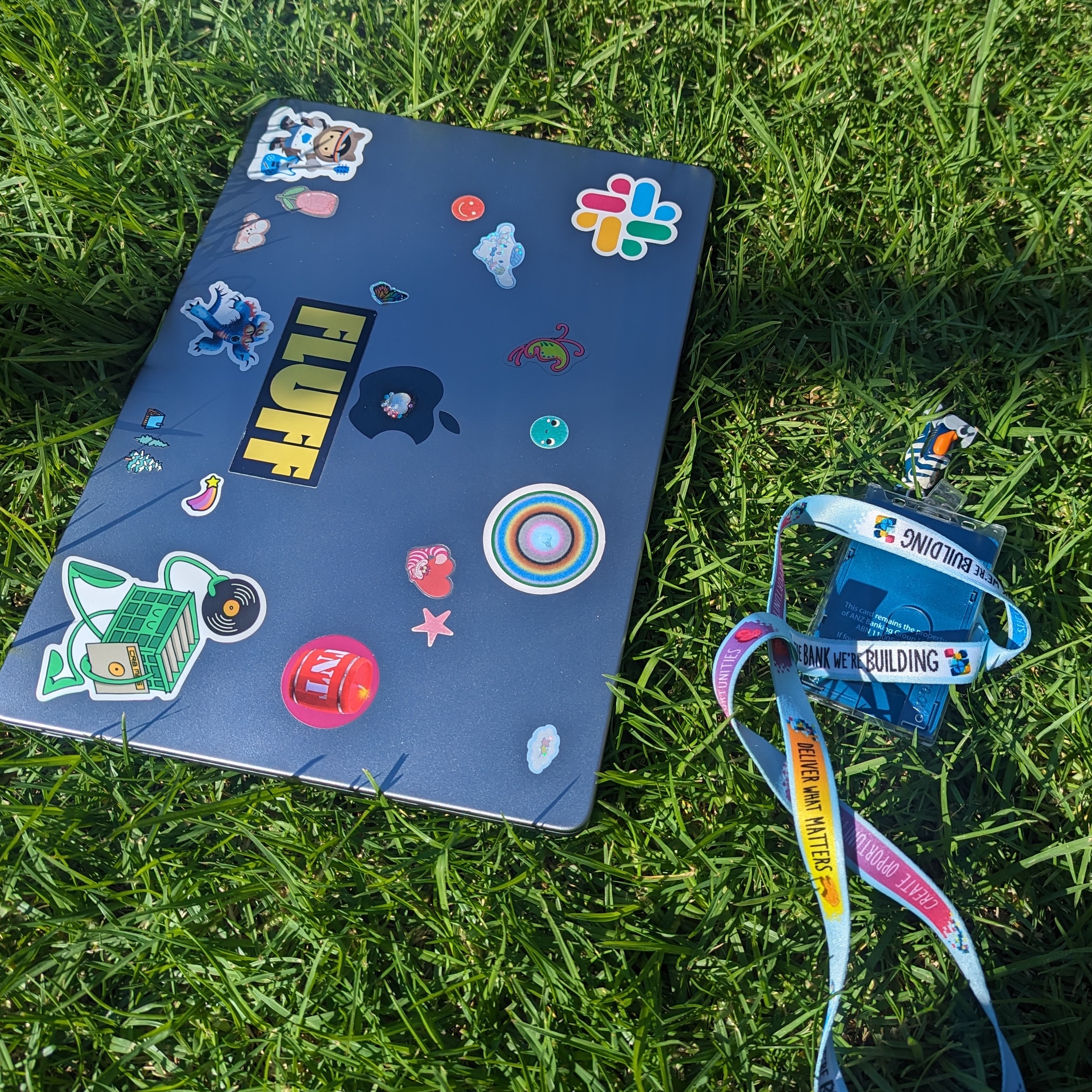 Picture of a laptop and lanyard on grass.